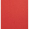 Paquete de 100 - Evercover A4 270g Rojo