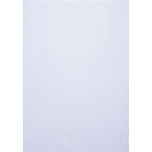 Paquete de 100 - Evercover A4 270g Blanco