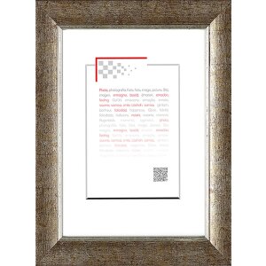 Marco de madera Hades 18x24 cm plata