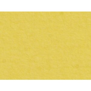 HNFD 20 Separadores para cajas de fotos Giallo para cajas de fotos 10x15 cm