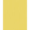 HNFD 20 Separadores para cajas de fotos Giallo para cajas de fotos 10x15 cm