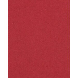 HNFD 20 Separadores para cajas de fotos Rosso Cardinale para cajas de fotos 10x15 cm