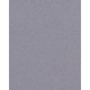 HNFD 20 Separadores para cajas de fotos Grigio Scuro para cajas de fotos 10x15 cm