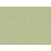 HNFD 20 tarjetas separadoras para cajas de fotos Verde Alga para cajas de fotos 10x15 cm