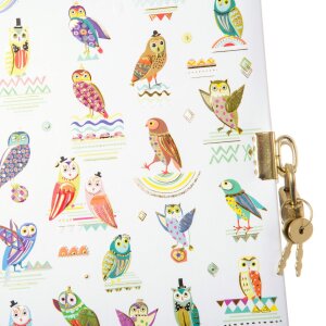 Diario Goldbook OWLS