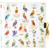 Diario Goldbook OWLS