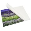 autoadhesivo DKbond 20,0 x 20,0 cm S43SD