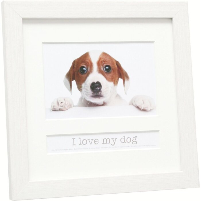 Marco Animales 10x15 cm Perro Blanco