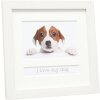 Marco Animales 10x15 cm Perro Blanco