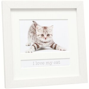 Deknudt Marco Animal Gato 10x15 cm blanco