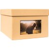 HNFD XL Photo Box Kandra 700 fotos 13x18 cm melón