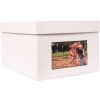 HNFD caja de fotos xl Kandra 700 fotos 13x18 cm gris hielo