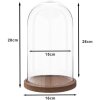 Clayre & Eef 6GL1946 Campana de vidrio 28 cm Madera Vidrio Redondo