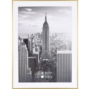 Marco de aluminio Henzo Manhattan 60x80 cm dorado