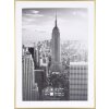 Marco de aluminio Henzo Manhattan 60x80 cm dorado