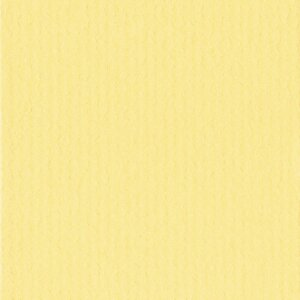 HNFD 12 Photo Box Separadores 13x18 cm - Giallo