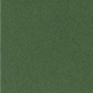 HNFD 12 Photo Box Separadores 13x18 cm - Verdone