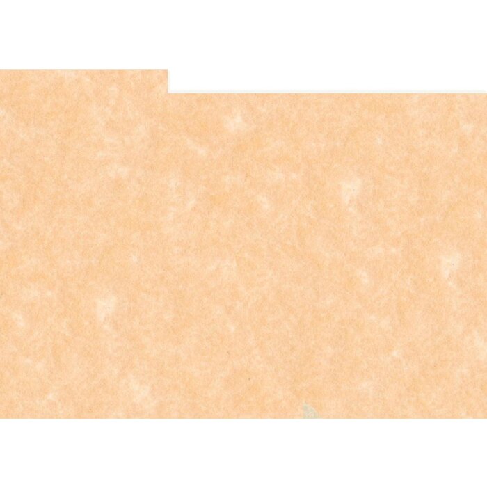 HNFD 12 Photo Box Separadores 13x18 cm - Parch Pink