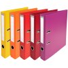 Carpeta de 2 anillas Exacompta A4 Premium PVC 50 mm