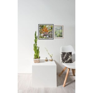 Nielsen Accent Marco de aluminio 50x70 cm Perla Mercurio