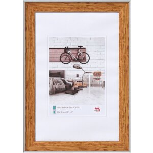 Marco Bohemio Borde Exterior plata