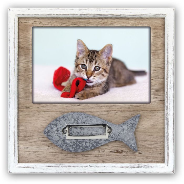 ZEP Marco Gato Hella 10x15 cm