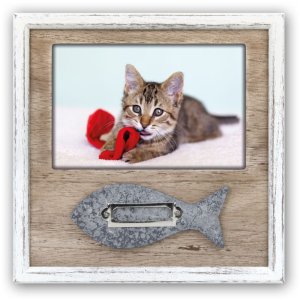 ZEP Marco Gato Hella 10x15 cm