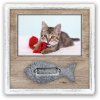 ZEP Marco Gato Hella 10x15 cm