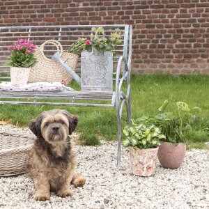 Clayre & Eef 5RO0388 Cama para perro 74x57x19 cm...