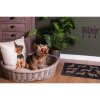 Clayre & Eef 5RO0388 Cama para perro 74x57x19 cm Ratán gris Cojín ovalado para perro