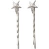 Horquilla Starlight (Set 2) Clayre & Eef JZHC0013ZI - plata