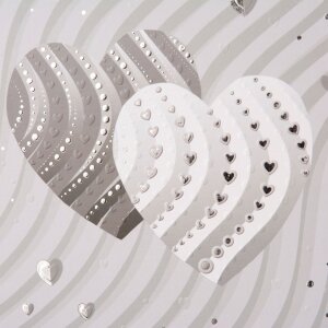 Goldbuch diario de boda Corazones de plata 23x25 cm 44 páginas ilustradas