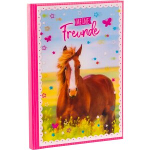 Goldbuch amigos libro A5 Pferdeliebe 15x21 cm 88 páginas ilustradas