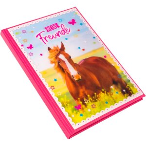 Goldbuch amigos libro A5 Pferdeliebe 15x21 cm 88 páginas ilustradas