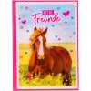 Goldbuch amigos libro A5 Pferdeliebe 15x21 cm 88 páginas ilustradas