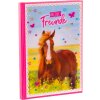 Goldbuch amigos libro A5 Pferdeliebe 15x21 cm 88 páginas ilustradas