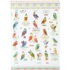 Cuaderno A5 en blanco Búhos