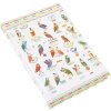 Cuaderno A5 en blanco Búhos