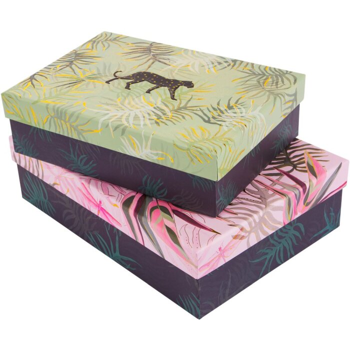 Caja regalo - Set Jungle Vibes Panther