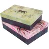 Caja regalo - Set Jungle Vibes Panther