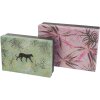 Caja regalo - Set Jungle Vibes Panther