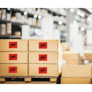 Etiquetas de color Herma SPECIAL A4, 105 x 42,3 mm, verde, adhesivo permanente