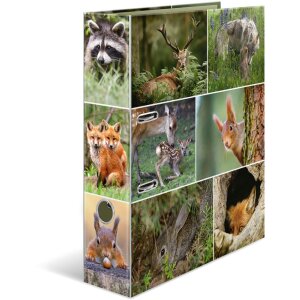 Herma Motif Folder A4 Animales - Animales del bosque