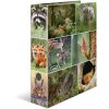 Herma Motif Folder A4 Animales - Animales del bosque