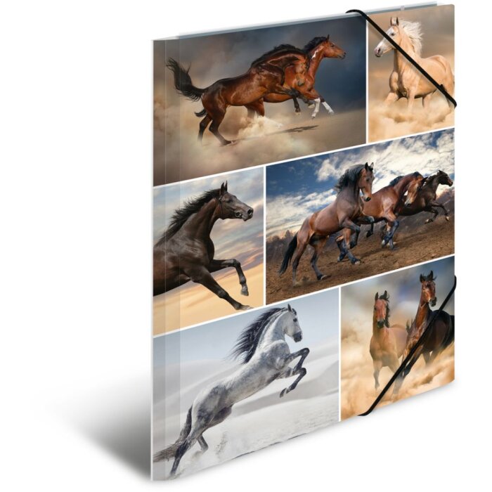 Carpeta Herma A4 Caballos de cartón
