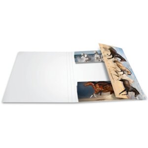 Carpeta Herma A4 Caballos de cartón