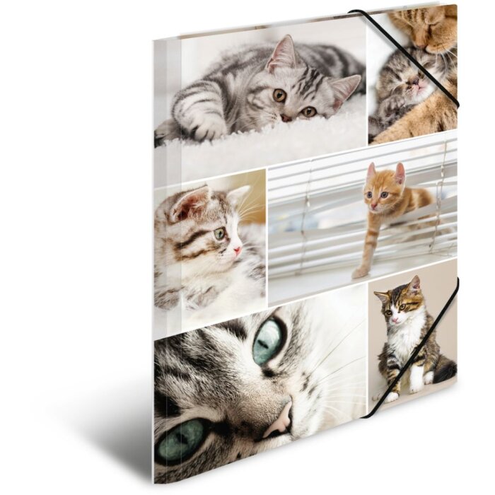 Carpeta Herma A4 cartón gatos