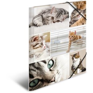 Carpeta Herma A4 cartón gatos