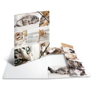 Carpeta Herma A4 cartón gatos