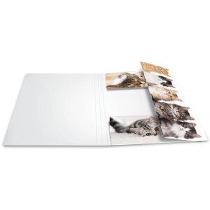 Carpeta Herma A4 cartón gatos
